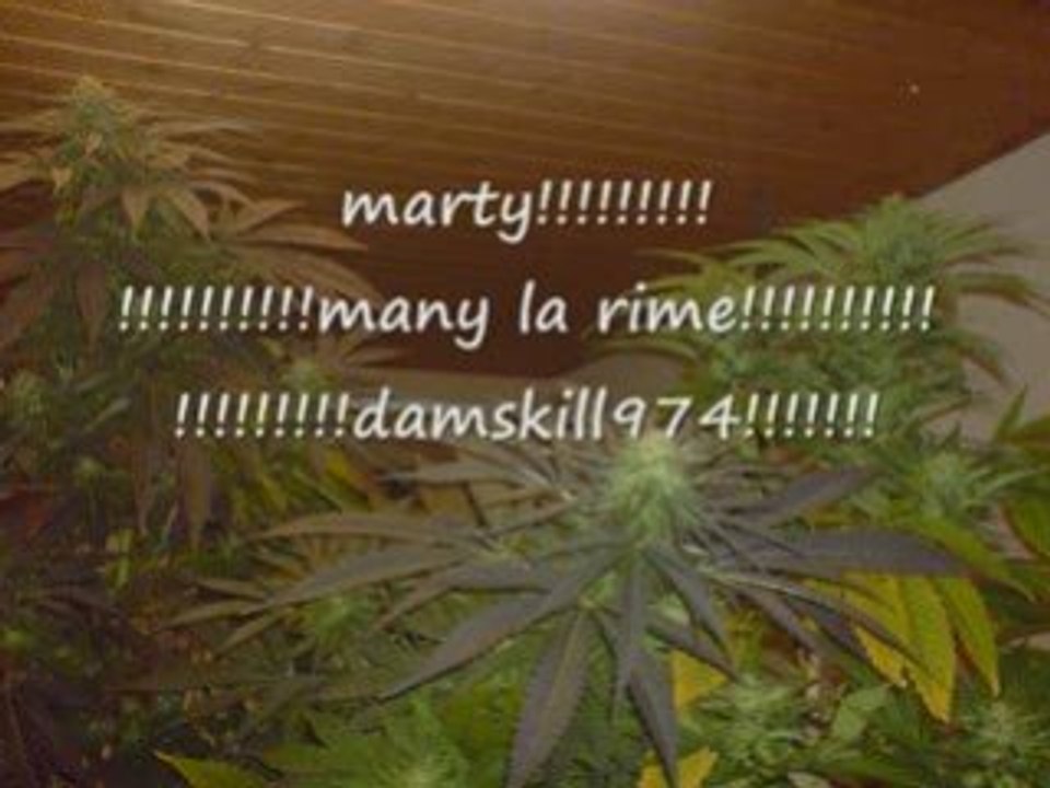 Rap