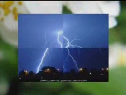 Desi i toni storaro - vinagi dvama