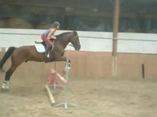 Cours de NifNif :) Hermes&Camille