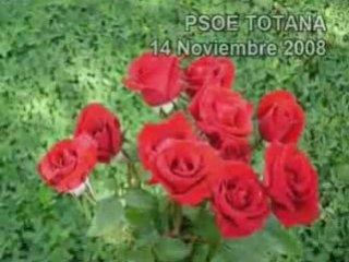 1ª parte CENA PSOE Hmje. a Alfonso Mtnez. Baños