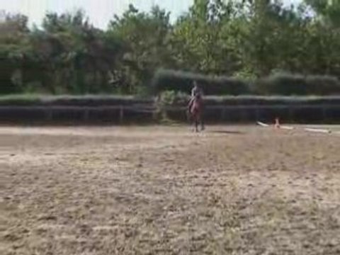 Entraînement dressage Astérix - Club Elite Championnats 06