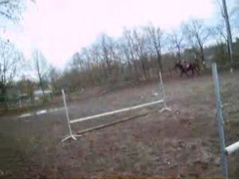 Séance de Saut d'Obstacle