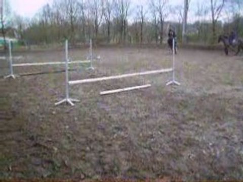 Séance de Saut d'Obstacle