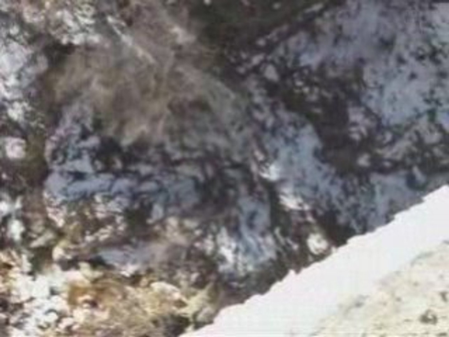 Бънджи на Клисура - Пловдивски Бънджи Клуб