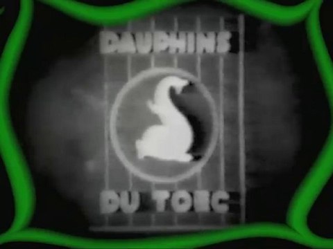 Les Dauphins du TOEC ont cent ans