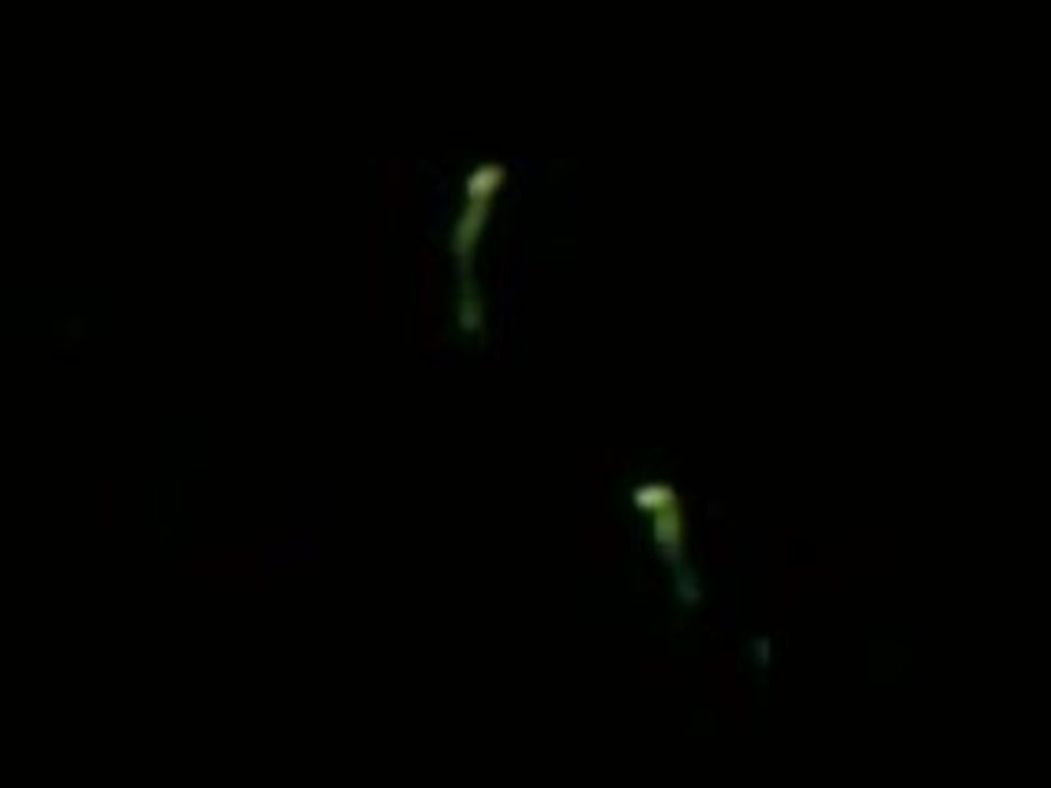 Petites lumières dans le noir