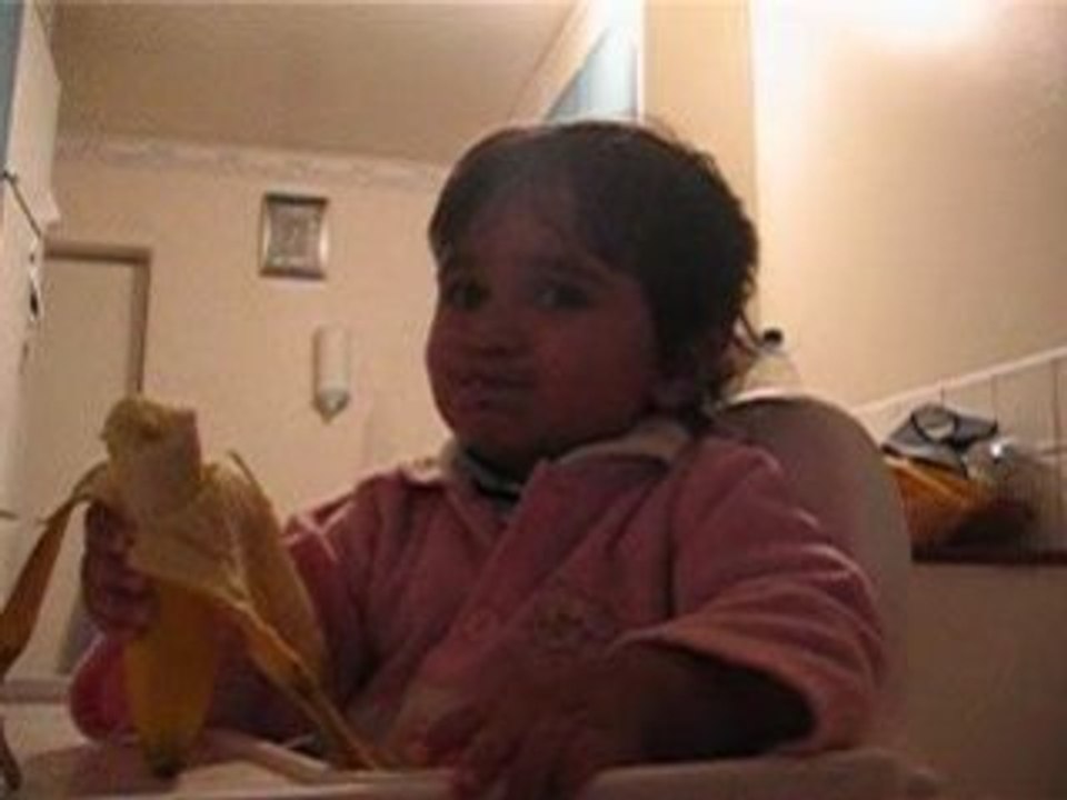 2008 591