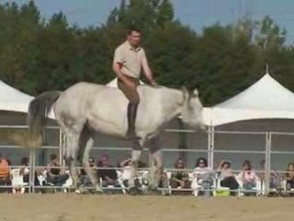 9ème rdv éthologique Haras de La Cense Andy Booth et Okies