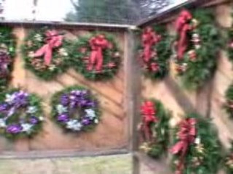 New Hampshire Christmas Tree Farm