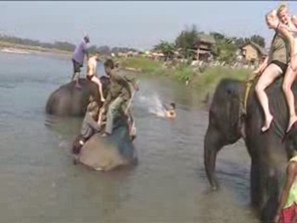 Bain des éléphants 1 MOV043