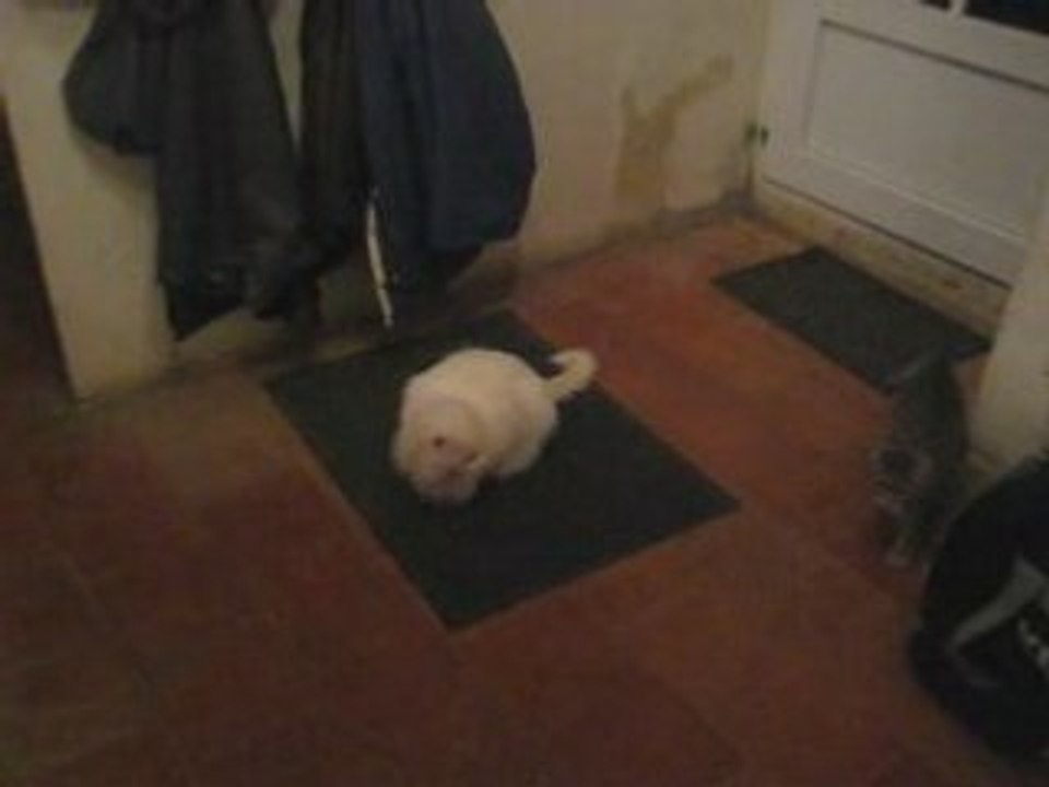 Kiss et chine 1