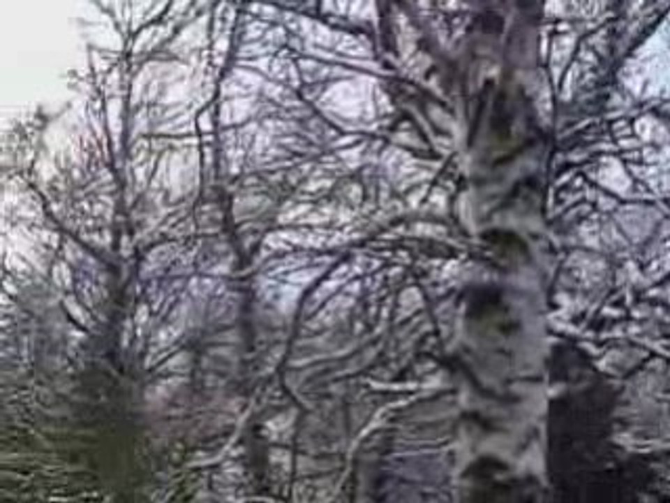 neve
