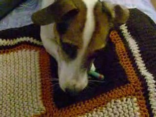 Papounet et le briquet