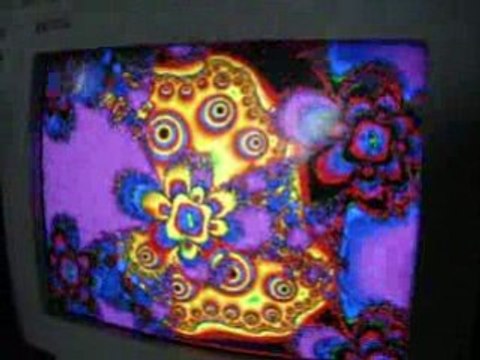 Teuf Bzh .Tante May Party . dep 56