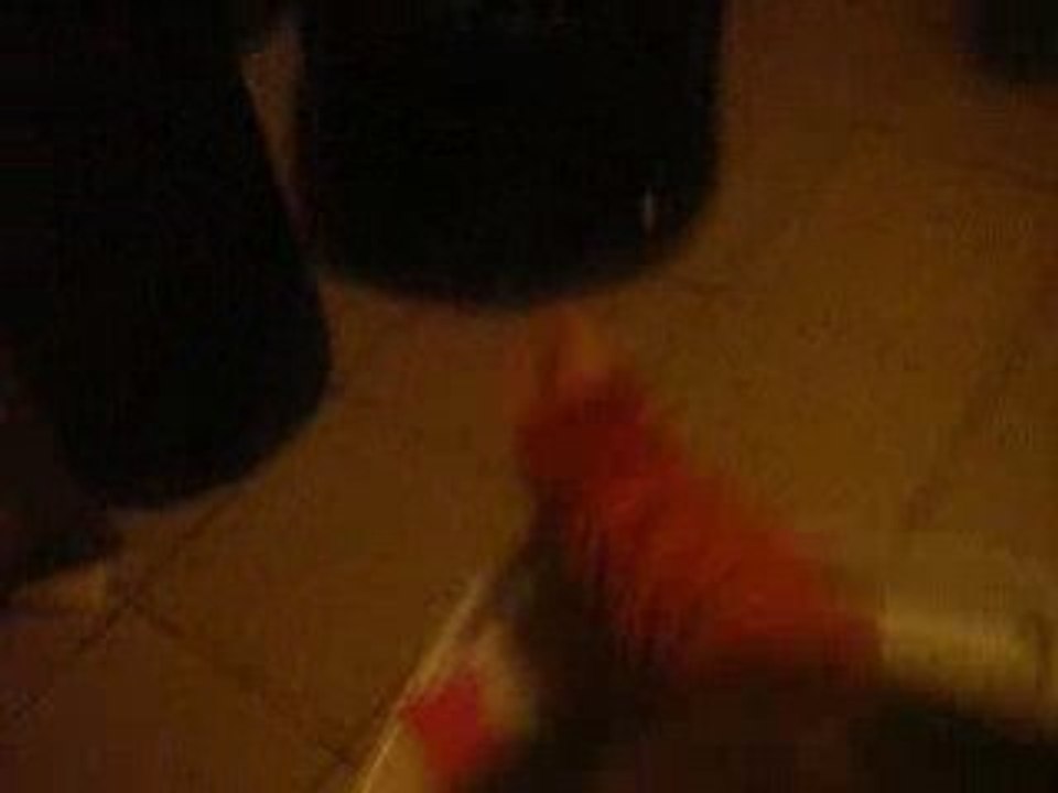 bebe killian et le trotteur