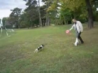 Booba & Delly avec le frisbee