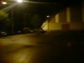 Aiiiie bouviers !!