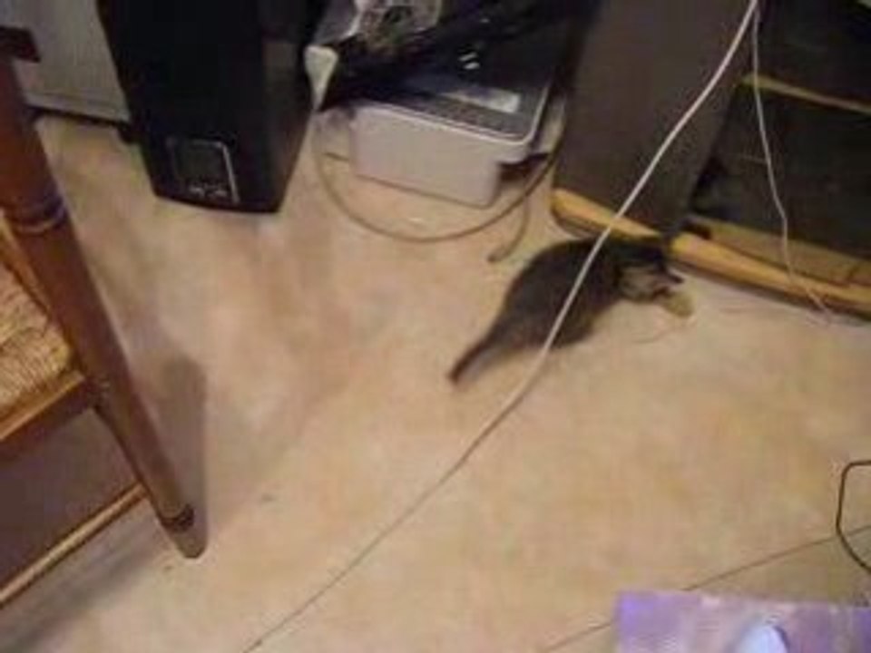Mon arrivé