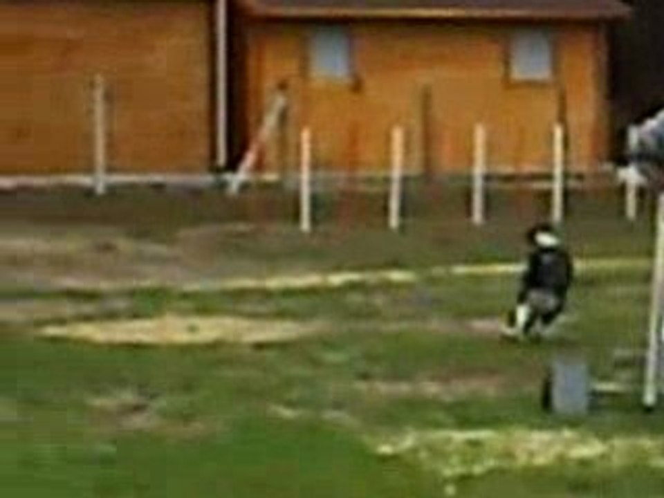 Chip Agility