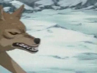 Toboe - Time of dying