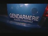 Centre d'instruction cynophile de la gendarmerie