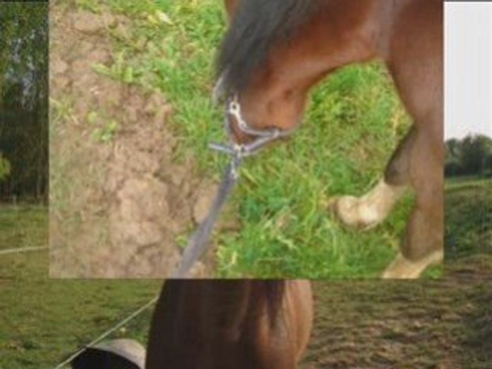 Vinnie ... DEJA DEUX ANS !