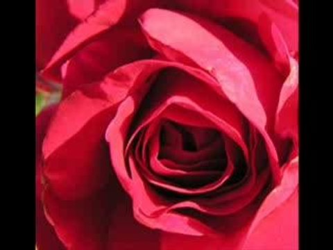 Les Feux De l'amour !