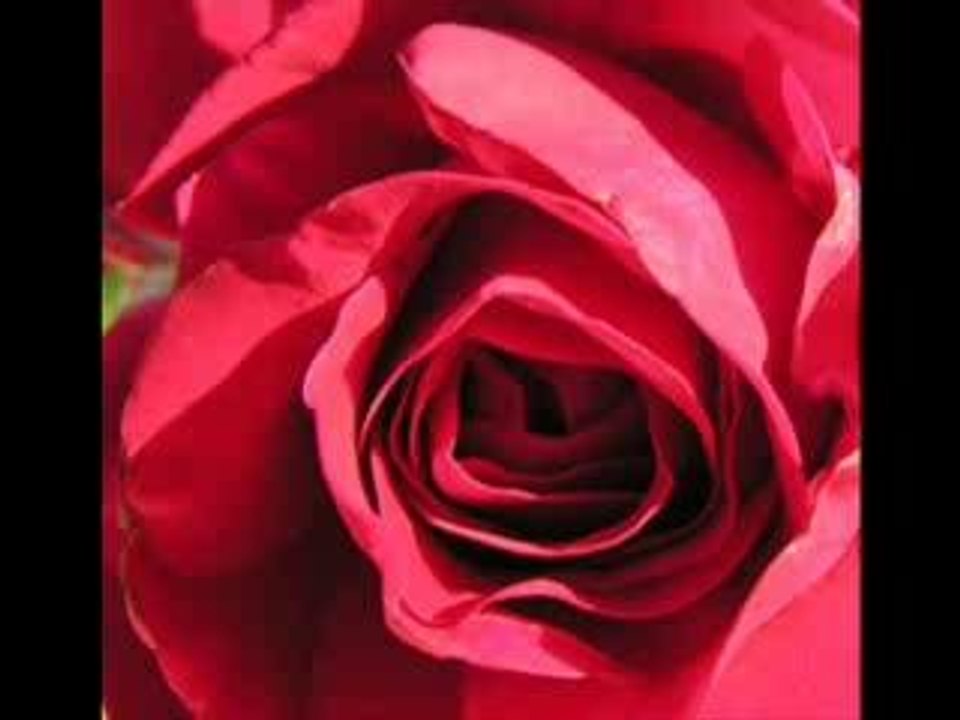Les Feux De l'amour !