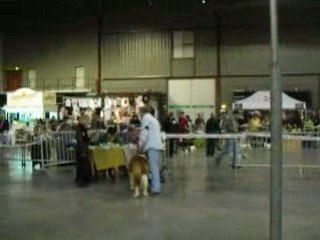 3 ème femelle classe ouverte