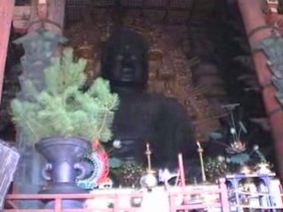 Visite de Nara (tomachi.org)