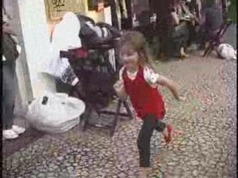 Girafa Ruminante