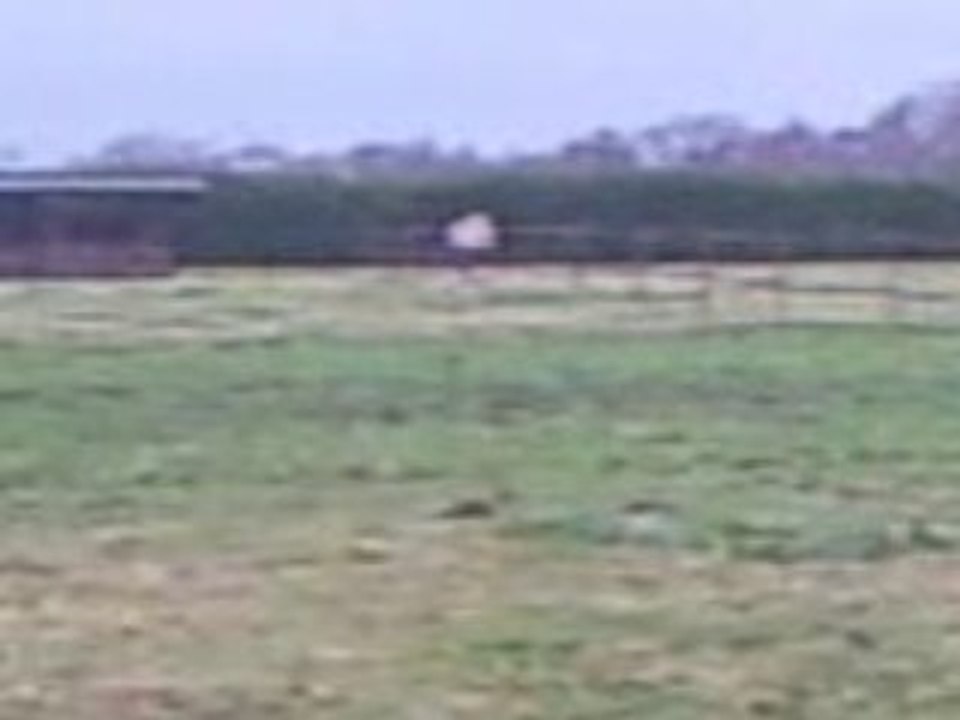 Vidéo0004