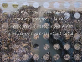 Polution de l'estuaire