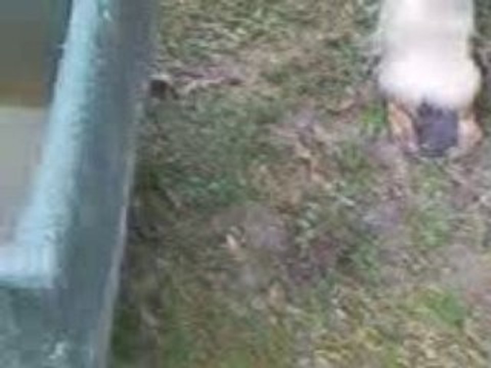 Vidéo0005