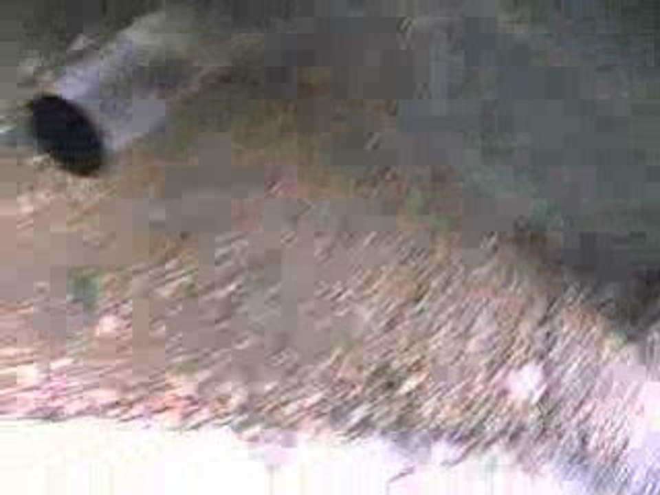 rupteur 205-GTI 1900