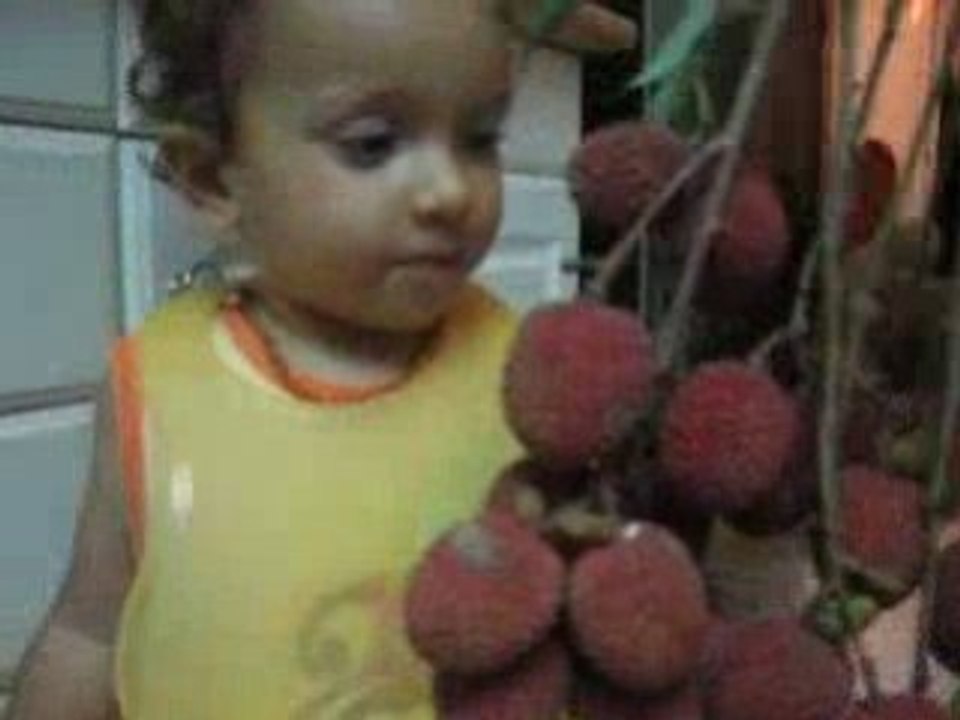 letchi