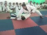 Judo en demostración