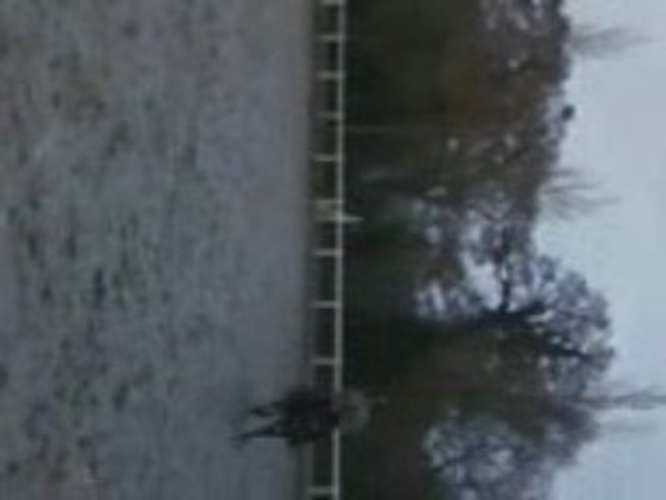 Farouk Rene allemande au Galop