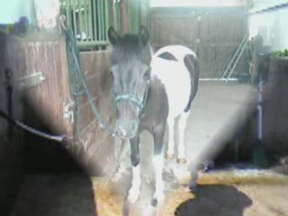 Princesse je t'aime!_0002