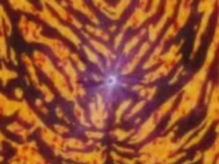 Rasengan !!
