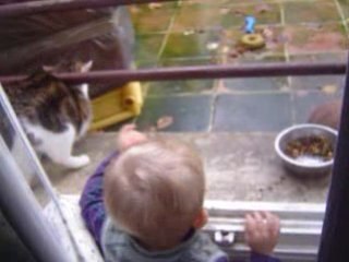 Mon chat & moi