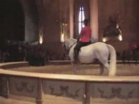 Chantilly le musée vivant du cheval part 2