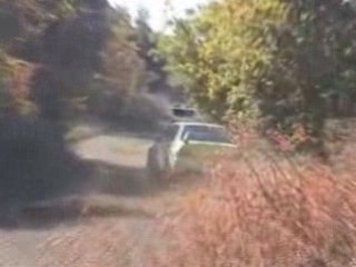 Rallye Terre des Cardabelles 2008