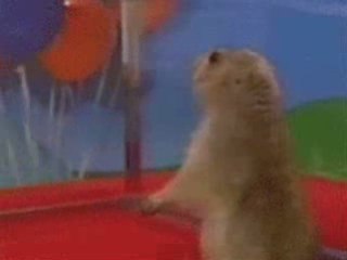 Erik Erikson's Stages: Trust vs. Mistrust