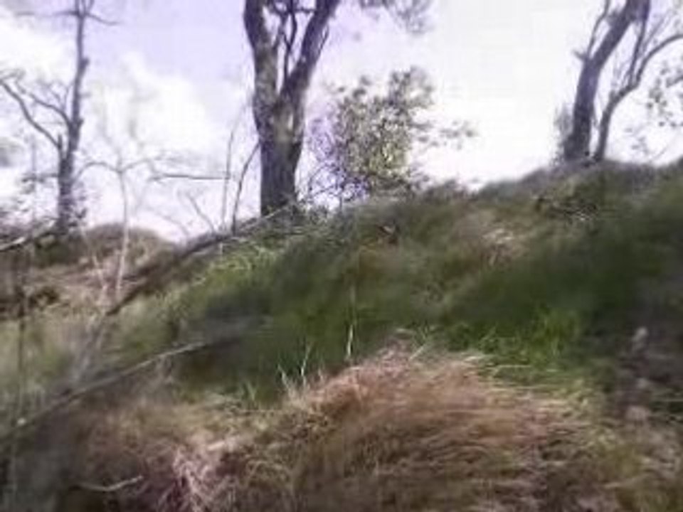 dirt bike 125 250 motocross