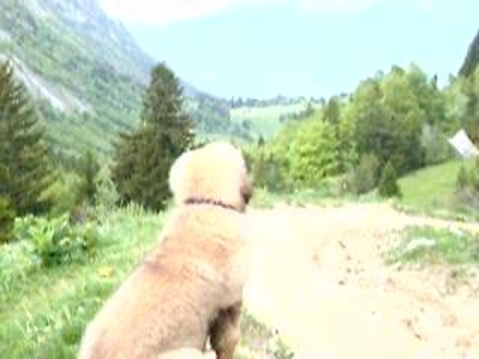 lac