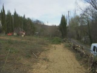 broyage de cyprès
