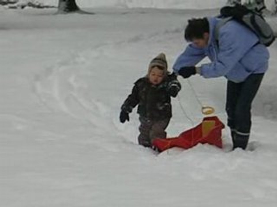 Novembre 2008 176