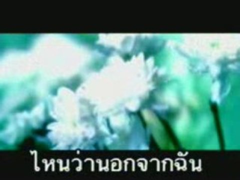 Bauk Dai Mai Wah Young Ruk - ERN JEERAWAN Daycharooweejit.