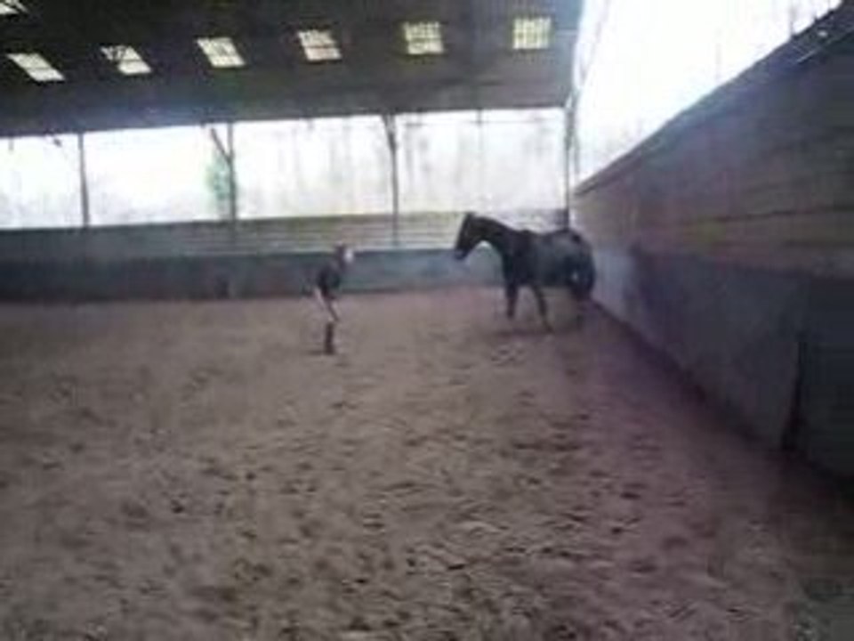 Jouer ac sa jument ! <3